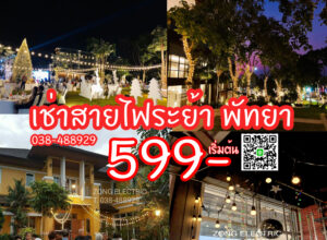 Rent เช่าไฟประดับ สายระย้า สายแพ ไฟปิงปอง ไฟราว Lighting for Rent